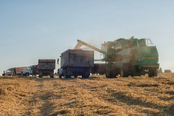 Overload of grain harvester — Stock Photo, Image