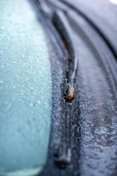Closeup of wipers and frosted car windshield covered with ice — Stock Photo, Image
