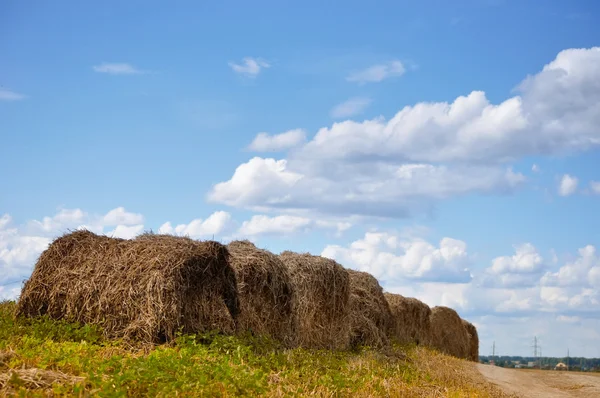 Haystacks en un campo —  Fotos de Stock
