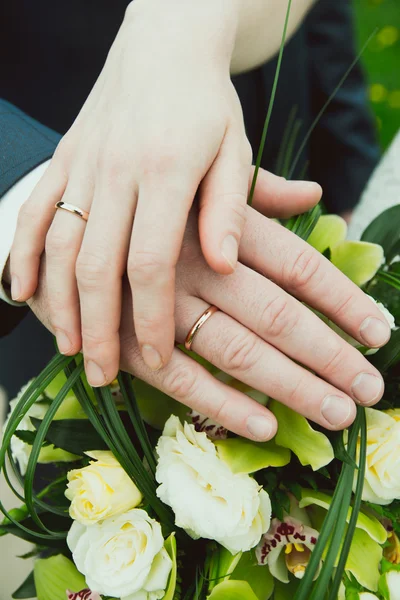 Mains avec anneaux de mariage — Photo