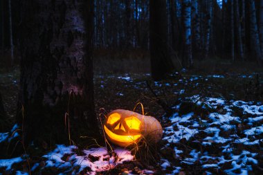 Cadılar Bayramı için balkabakları