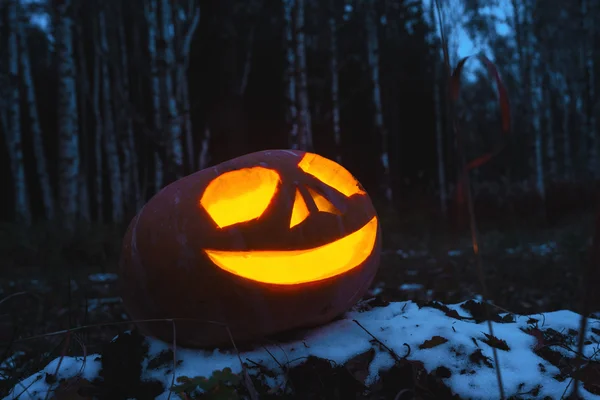 Kürbisse für Halloween — Stockfoto