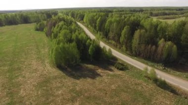 Yolun ortasında orman üzerinde uçan