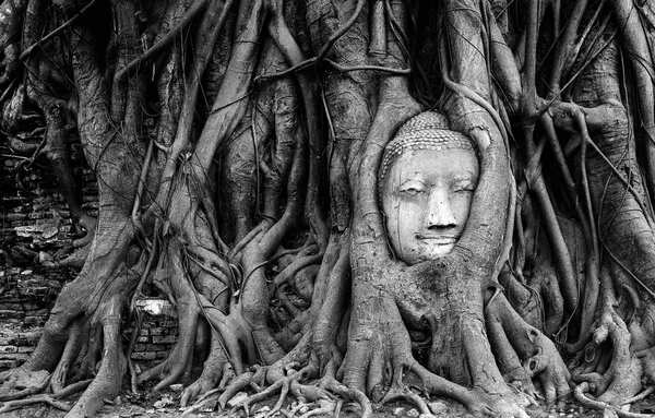 Black and white buddha head sandstone — Stock Photo, Image
