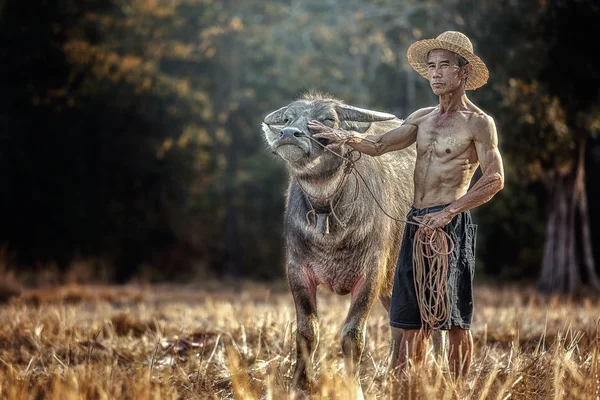 タイの農夫 — ストック写真