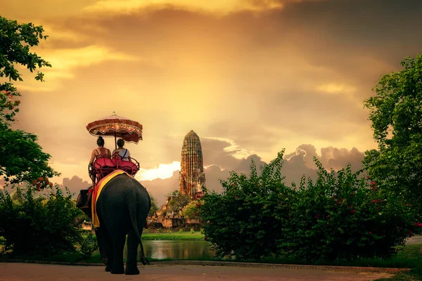 Tourists take an elephant — Stock Photo, Image