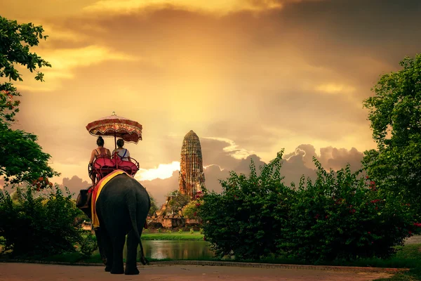 I turisti prendono un elefante Immagine Stock