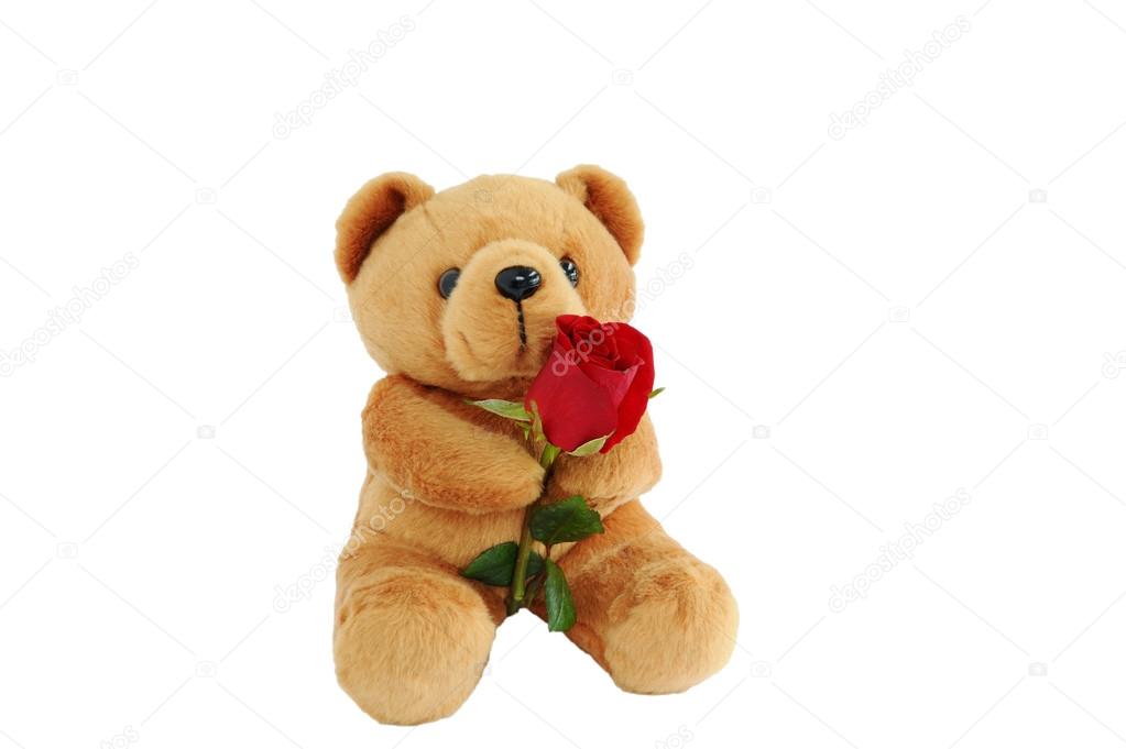 Bear doll holding a rose