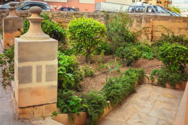 Geleneksel taş mimari unsurlar kullanılarak kısıtlı alanların yeşillendirilmesi için Akdeniz sokak manzarası ve kentsel tasarım çözümü.