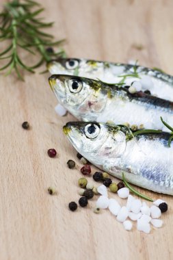 bir tablo taze sardalye