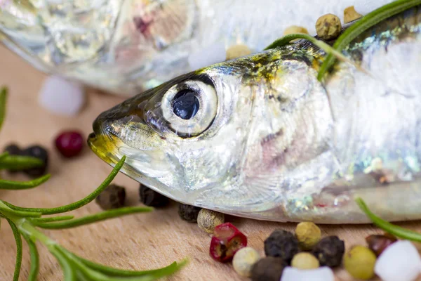 Closeup of a raw pilchard — Stock Photo, Image