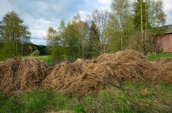 Haystack Meadow Springtime Countryside Sweden — Stock Photo, Image