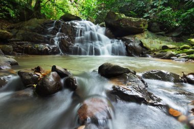 Borneo Jungle şelale