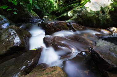 Borneo Jungle şelale