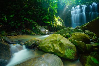 Borneo Jungle şelale.