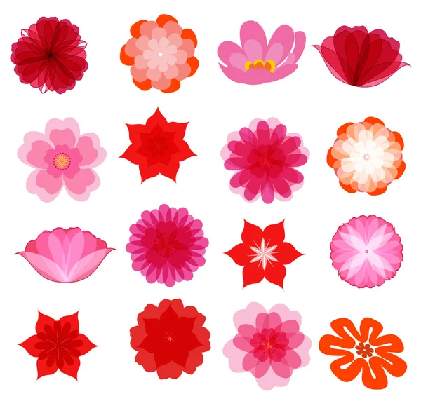 Bella collezione di fiori colorati vettoriale in silhouette isolato su sfondo bianco per il design — Vettoriale Stock