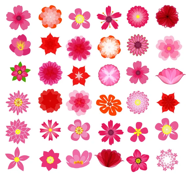 Hermosa colección de vectores de flores de colores en silueta aislada sobre fondo blanco para el diseño — Archivo Imágenes Vectoriales