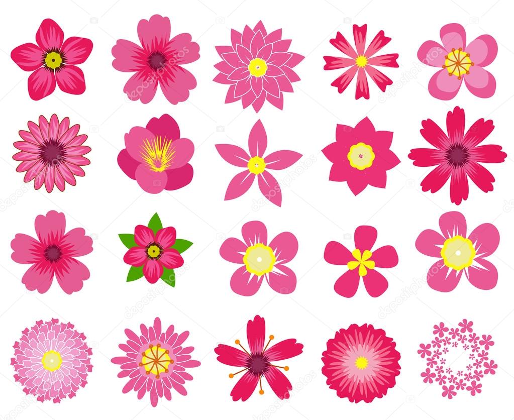 beautiful colorful flowers vector collection in silhouette isolated on white background for design