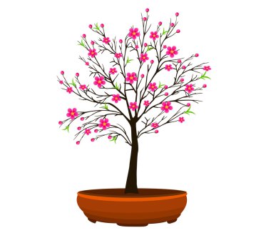 Kiraz çiçeği vektör Çin yeni yıl ve ay yeni yıl için 