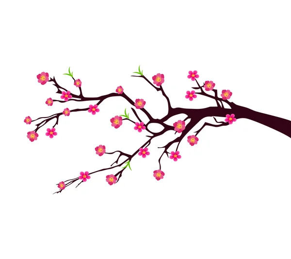 Векторний Цвітіння вишні для китайського нового року та місячний новий рік — стоковий вектор