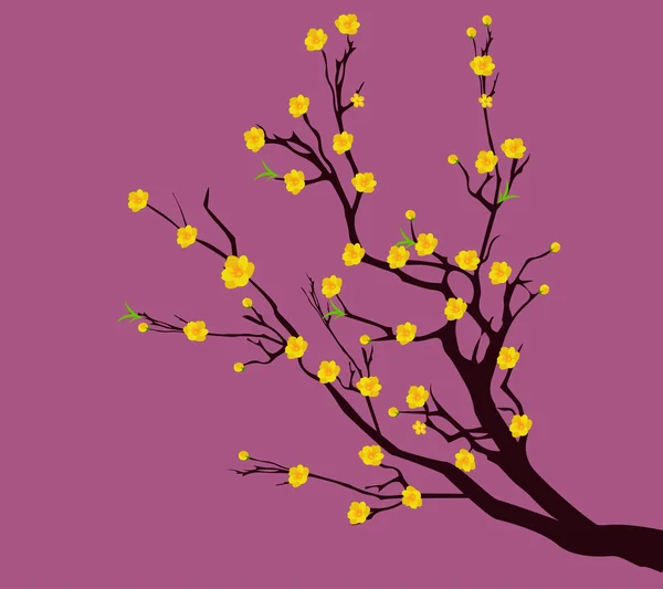 Κίτρινο λουλούδι βερίκοκο, παραδοσιακά σεληνιακό νέο έτος στο Βιετνάμ — Διανυσματικό Αρχείο