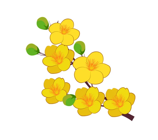 Flor de albaricoque amarillo, tradicional año nuevo lunar en Vietnam — Vector de stock