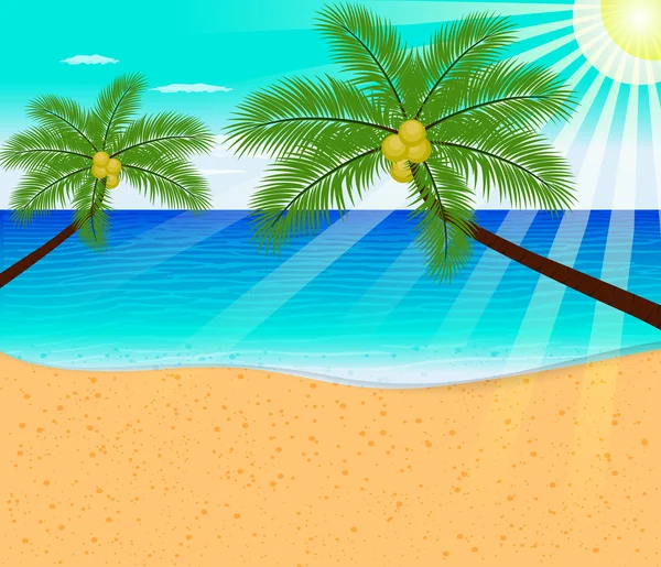 Tropical beach with Palm Trees  vector illustration — Stock Vector