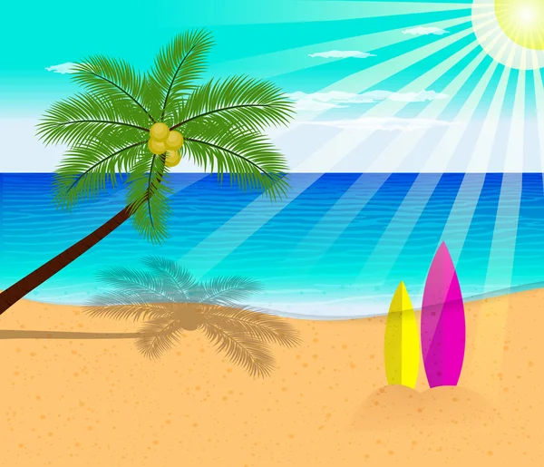 Tropical beach with Palm Trees  vector illustration — Stock Vector