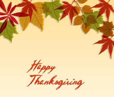 Şükran gününüz kutlu olsun