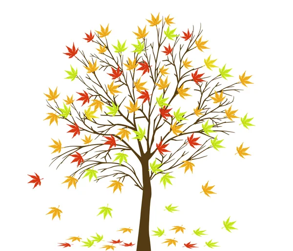 Albero autunnale — Vettoriale Stock