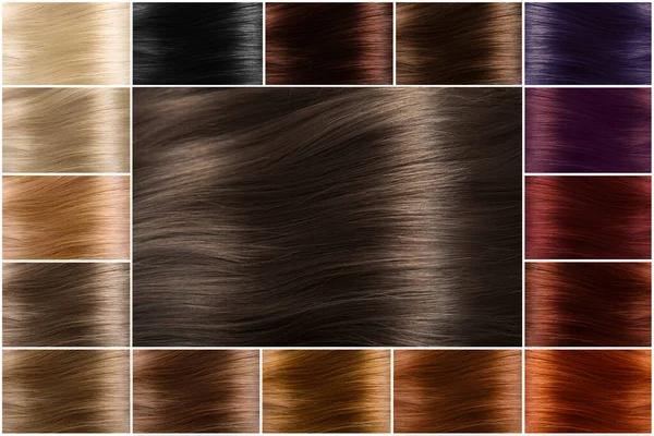 Renkler için renk çizelgesi. Saç rengi paleti, geniş bir yelpazede. Renkli boyanmış saç örnekleri düzenli bir sıra halinde bir karta yerleştirilmiş. Tints. Renk seti. Farklı renklerde saç dokusu..