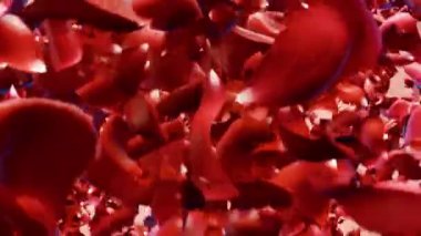 Çiçek yaprakları animasyon arka planı. Mutlu Sevgililer Günü metni açıklanıyor.