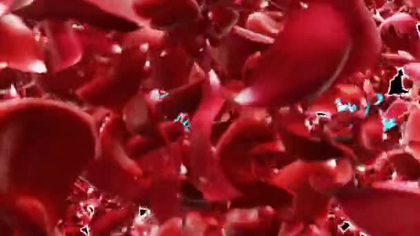 Květiny okvětní lístky animace pozadí. Odhalení textu Šťastného Valentýna. — Stock video