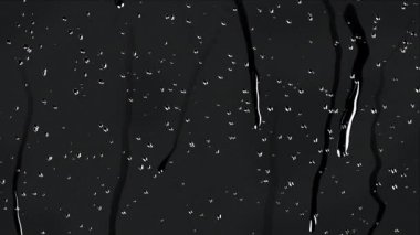 4k Yağmur Damlaları Saydam arkaplana düşüyor