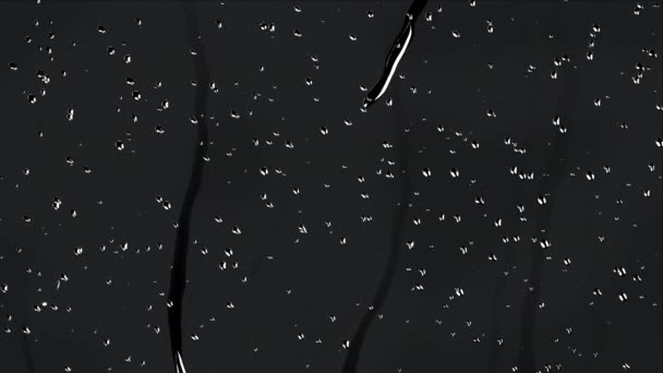 4k 비가 투명 한 배경 위로 떨어지다 — 비디오
