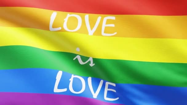 Rainbow LGBT flag with love is love written on flag — Stock Video