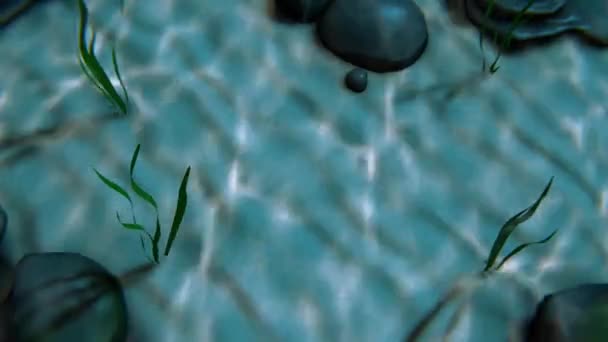 Causes de l'eau sur le fond de la mer 3d fond animé — Video