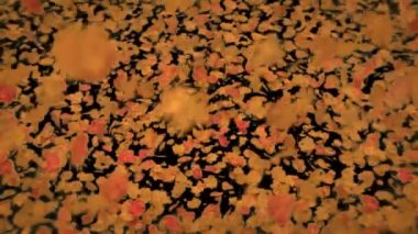 Yaprak rüzgarla canlanır. Şeffaf arkaplanda düşen yapraklar.