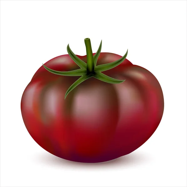 Tomate Vermelho Escuro Isolado Sobre Fundo Branco Realista Tomate Fresco — Fotografia de Stock