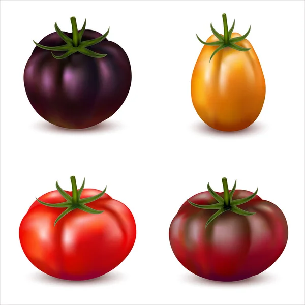 Conjunto Realista Tomates Com Diferentes Tipos Cores Isoladas Branco Diferentes — Fotografia de Stock