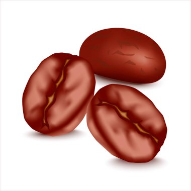 Kahve çekirdekleri gerçekçi, beyaz arka planda izole. Gerçekçi vektör illüstrasyonu.