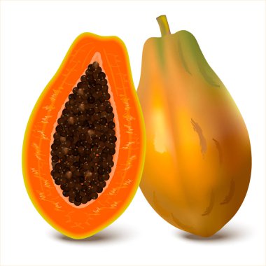 Yarım dilimlenmiş ve tamamen sağlıklı organik papayalar beyaz arka planda izole edilmiş. Taze yaz organik meyveleri. Gerçekçi çizim.