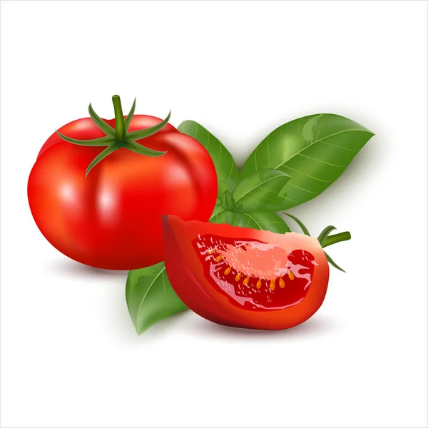 3D现实新鲜的红色大西红柿整体和切片西红柿与罗勒叶分离的白色背景 — 图库矢量图片