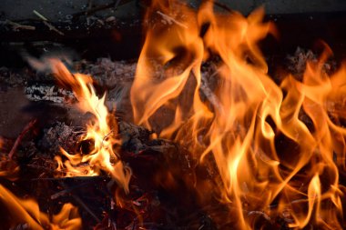 Karanlıkta parlayan bir ateş. Sıcaklık ve dil alevleri. Alev alev yanan şenlik ateşi. Ahşap ateşte yanıyor. Siyah arka planda yanan anka kuşu. Ateş yandığında sonsuzluk şekilleri yaratır..