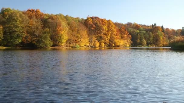 Прекрасний осінній пейзаж на річці — стокове відео