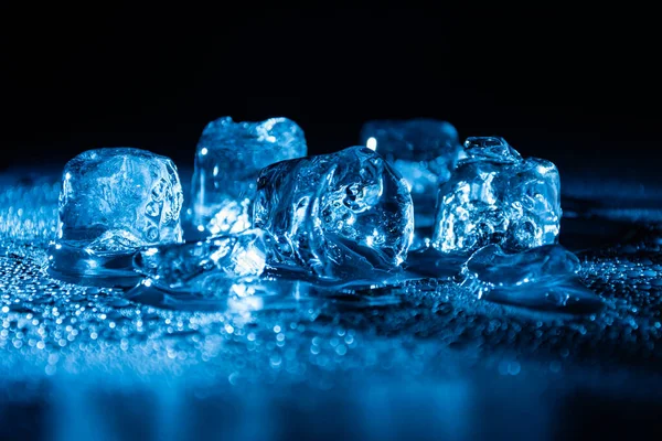 Fusion de glaçons glacés éclairés par une lumière LED bleue dans l'obscurité. — Photo