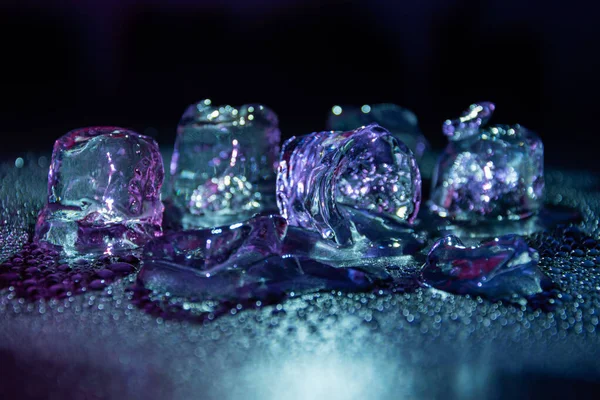 Melting frozen ice cubes illuminated with gradient coloured LED light in the dark.