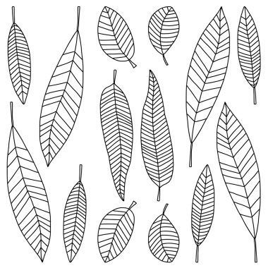 Vektör tropik bitkiler kümesiyle doodle