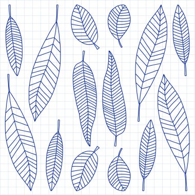 Vektör tropik bitkiler kümesiyle doodle