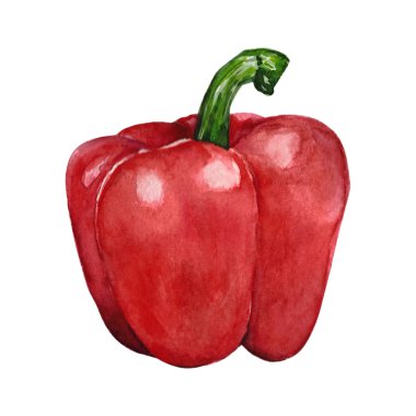 Suluboya elle çizilmiş dolmalık biber